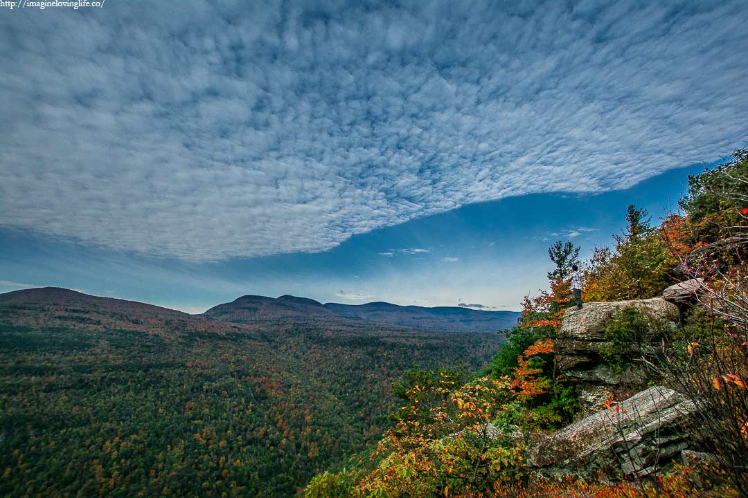 huckleberry point